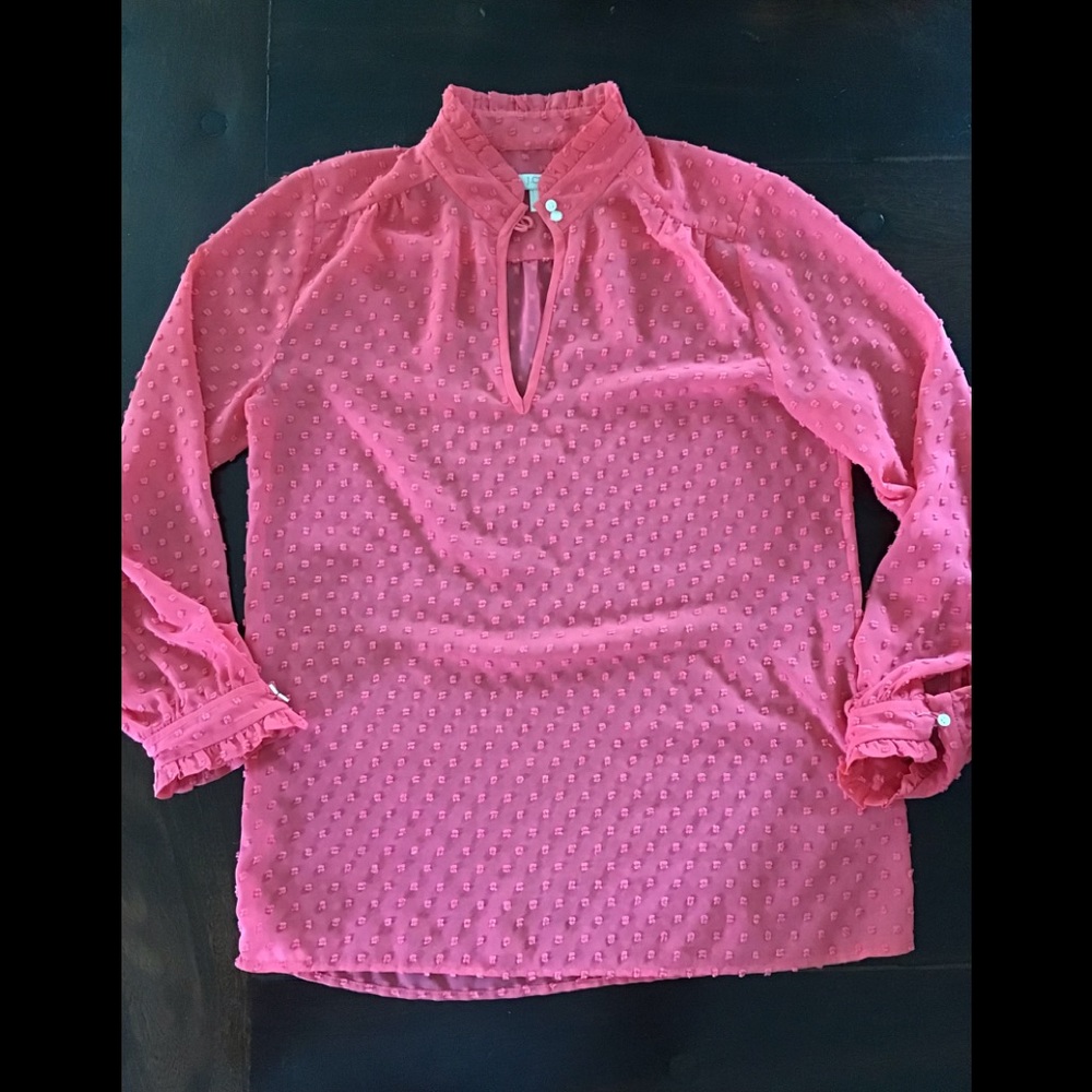 J. Crew Chiffon Swiss Dot Blouse 0